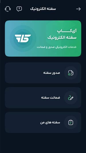 صدور سفته